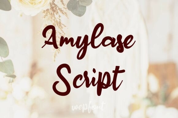 Amylase Script Font: A Review for Editorial Design
