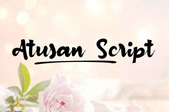 Atusan Script Font: Adding Warmth to Web Design