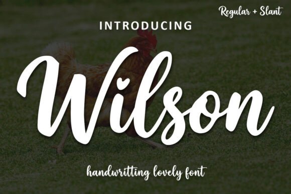 Wilson Font: Elevating Campaign Visuals with Handwritten Charm
